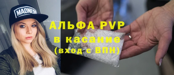 хмурый Алексин