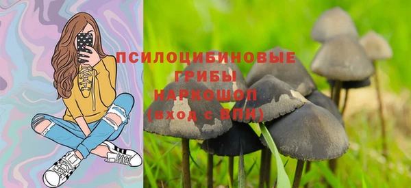 винт Апатиты