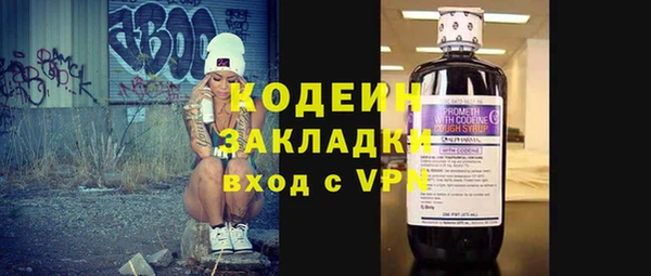 хмурый Алексин