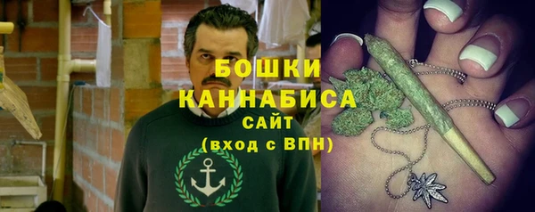 спиды Анива