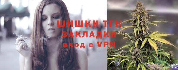 крисы Алагир