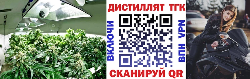 МЕГА как зайти  Балашов  даркнет какой сайт  Дистиллят ТГК Wax 